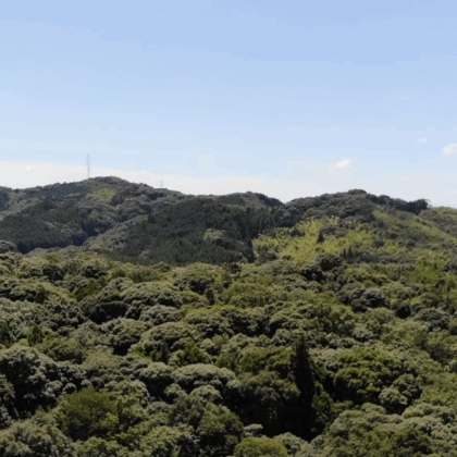 【空撮】森林の真上から上に向かってスライドする動画《10秒》