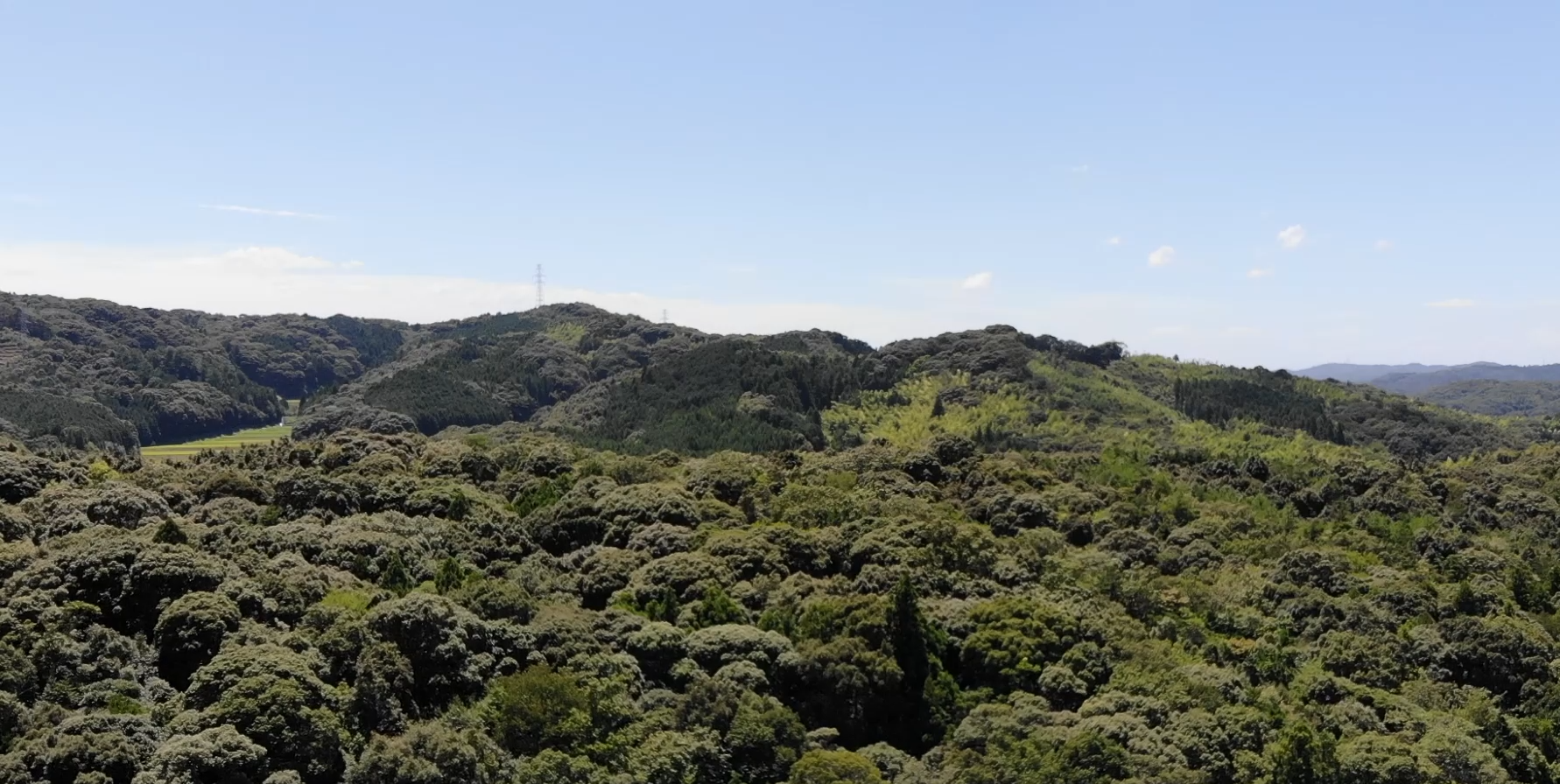 【空撮】森林空撮の6本セットのパッケージ動画 - 画像 (4)