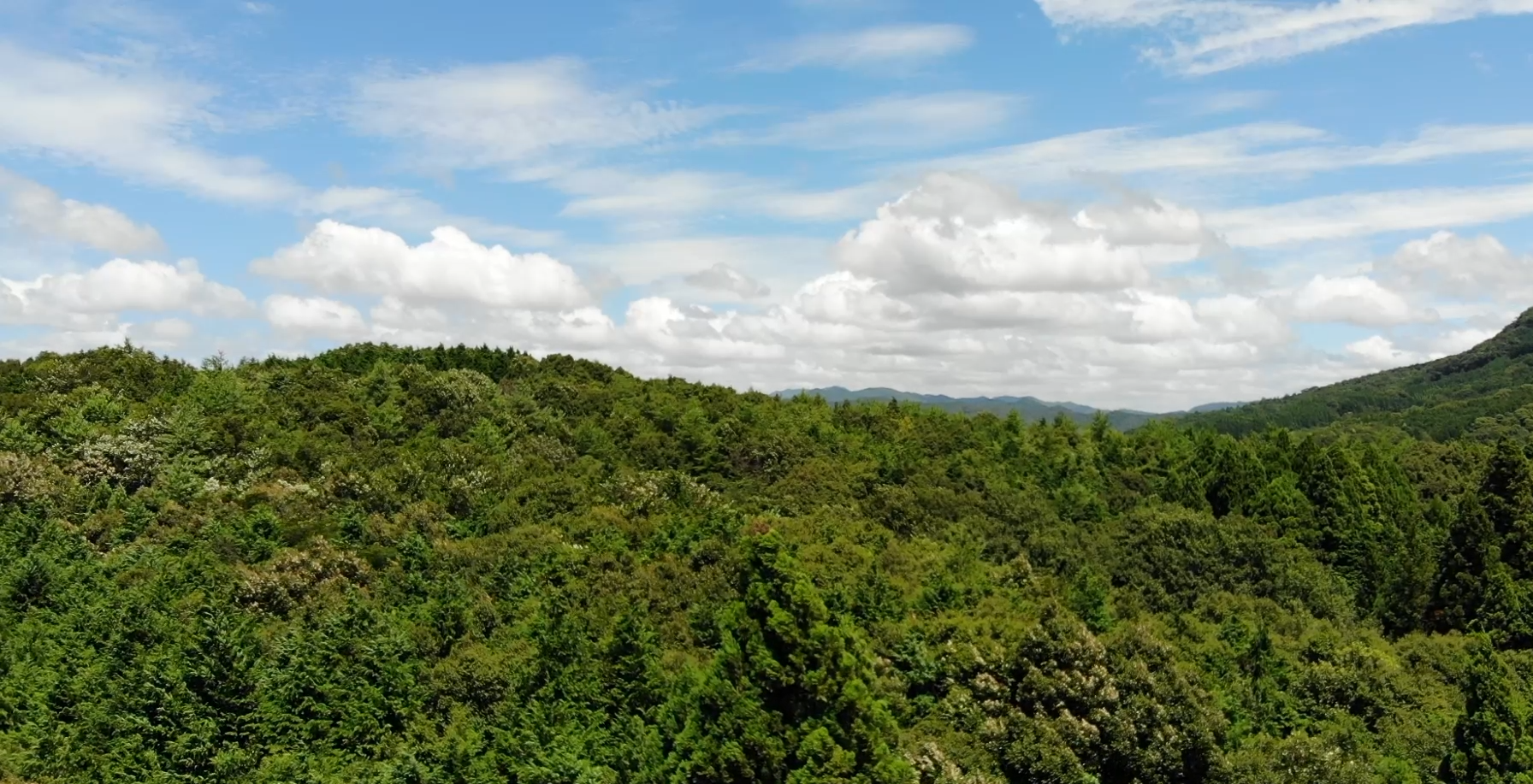 【空撮】森林空撮の6本セットのパッケージ動画 - 画像 (5)