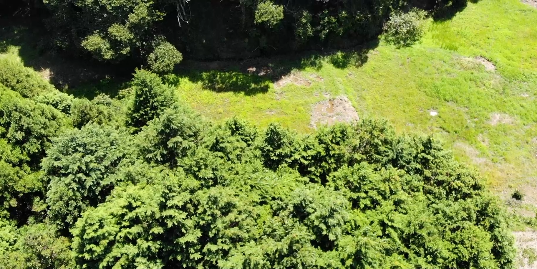 【空撮】森林の真上から上に向かってスライドし広場で終わる動画《20秒》