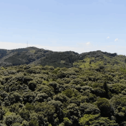 【空撮】森林のきれいな山を右スライドする動画《9秒》