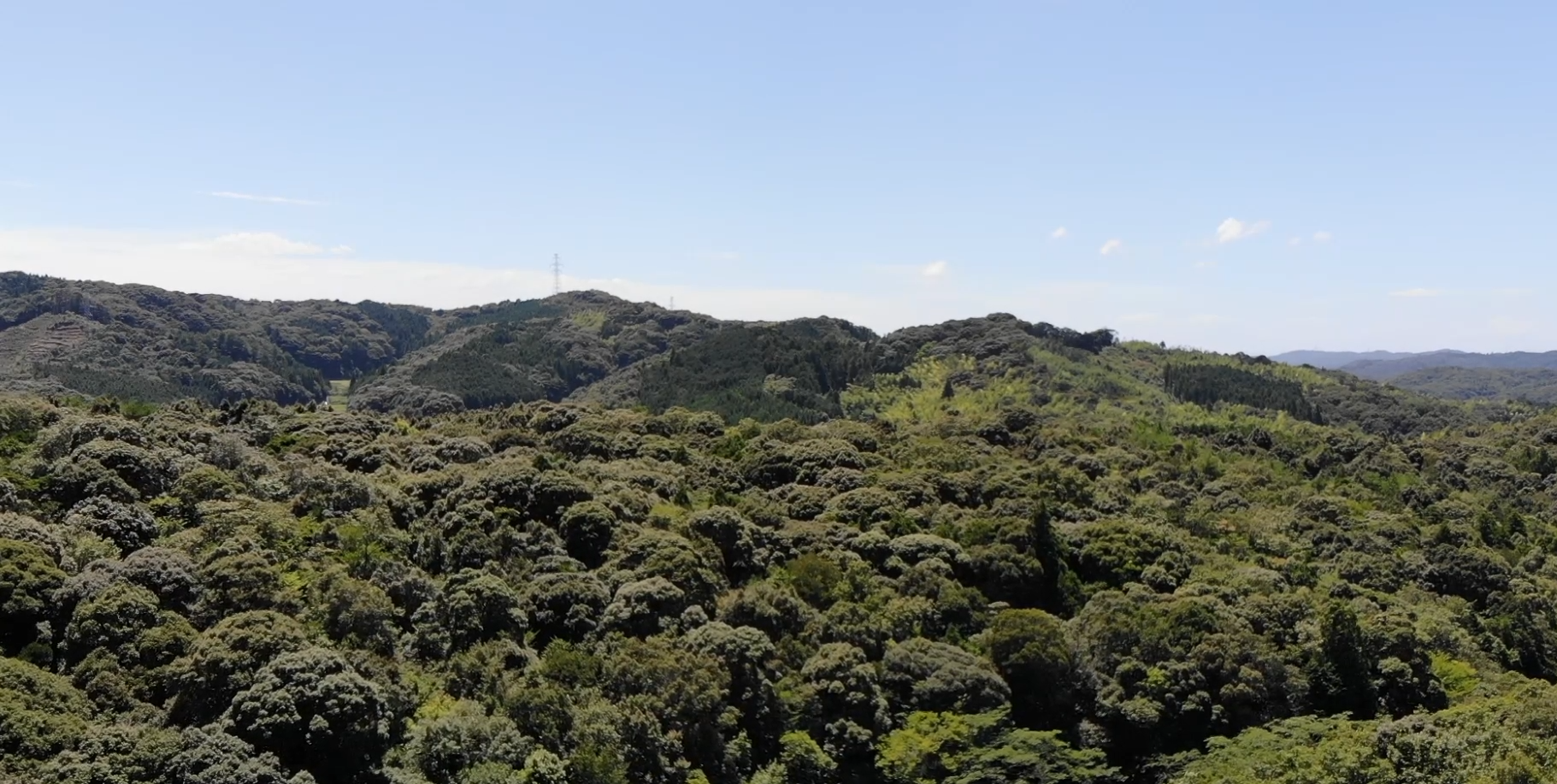 【空撮】森林空撮の6本セットのパッケージ動画 - 画像 (3)