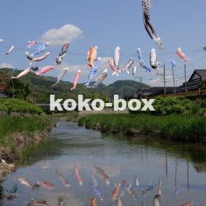 川の水面に映ったこいのぼりの写真