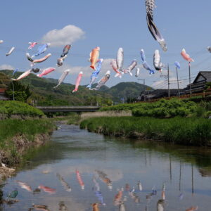 川の水面に映ったこいのぼりの写真