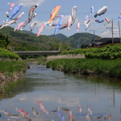 川の水面に映ったこいのぼりの写真2