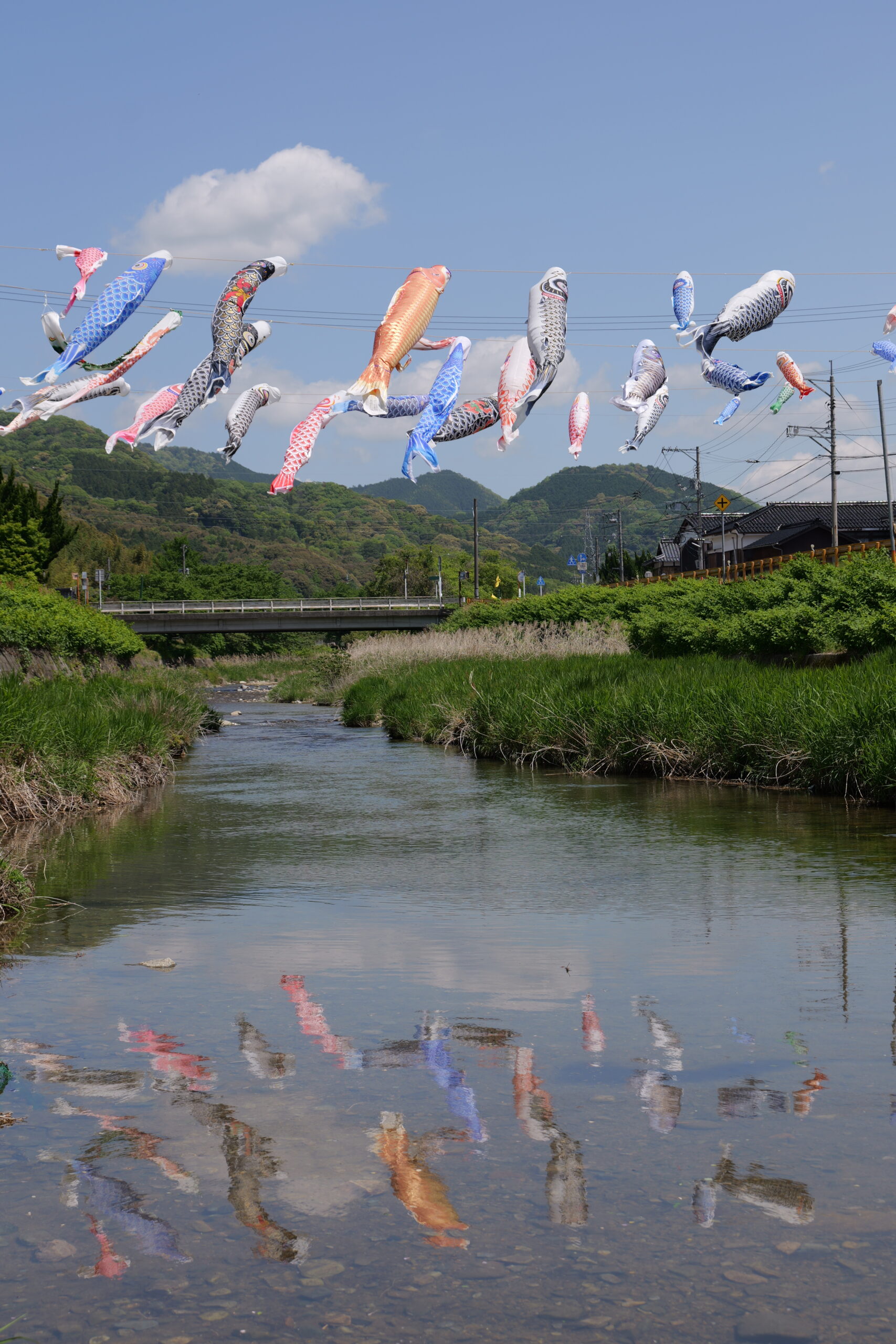 川の水面に映ったこいのぼりの写真2