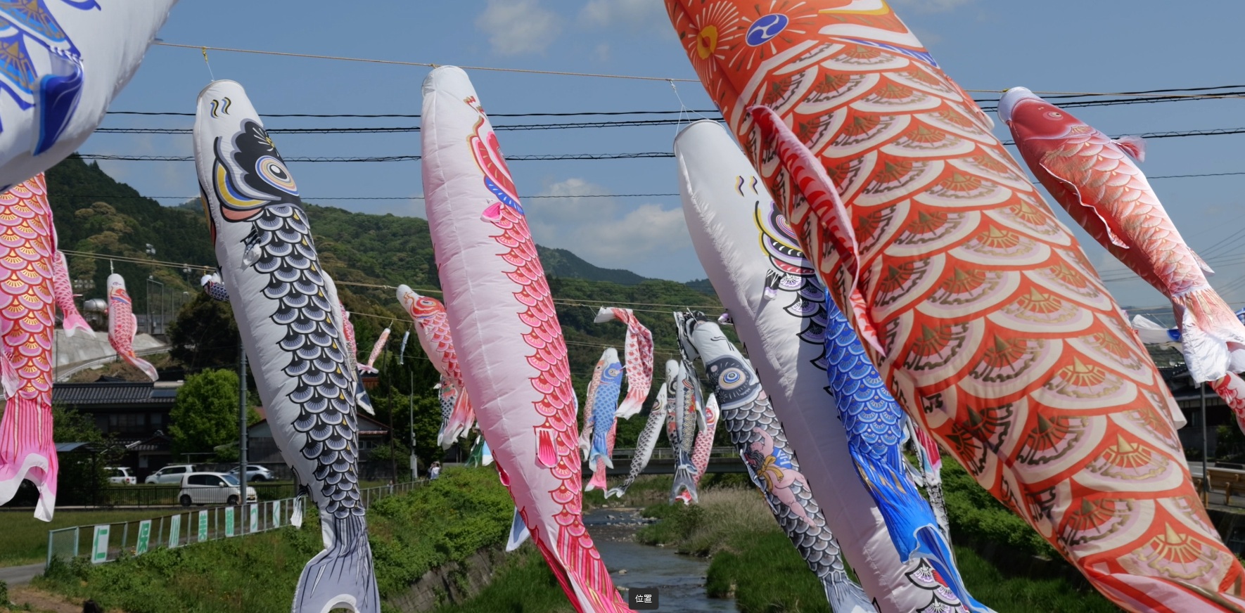 川添いで大量のこいのぼりが風になびく動画《15秒》