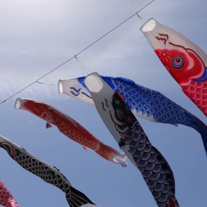 逆光で青空の下、こいのぼりが風になびく動画《14秒》