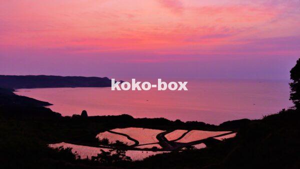 夕焼けの棚田に赤い空が反射している写真