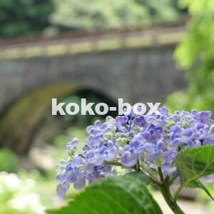石橋と薄青色が綺麗な紫陽花の縦写真