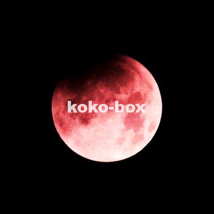 皆既月食が始まった時の赤い月の写真(2025年時)