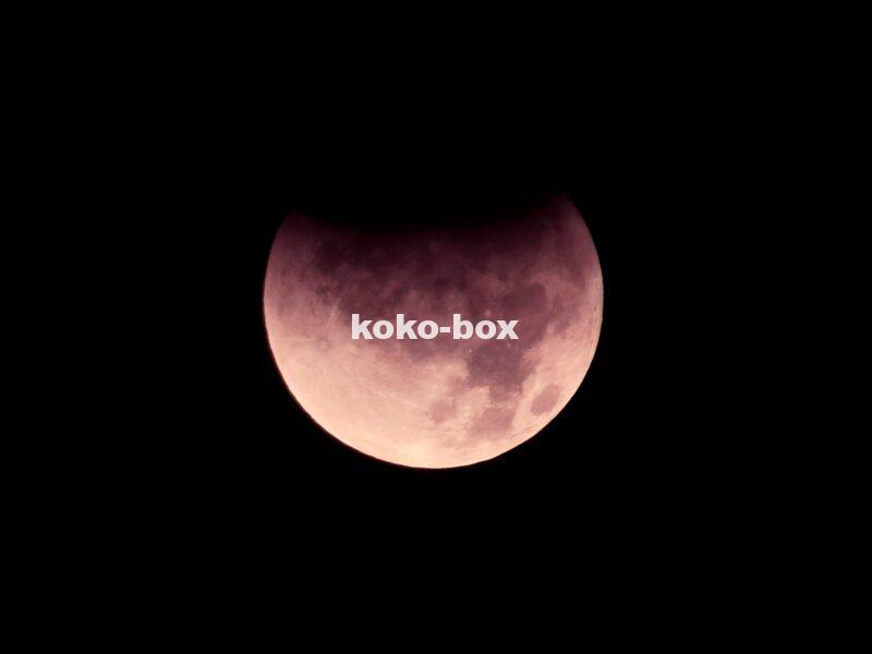 皆既月食が進んだ時の赤い月の写真(2025年時)