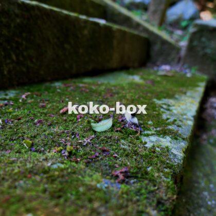 神社の厳かな雰囲気の階段の写真