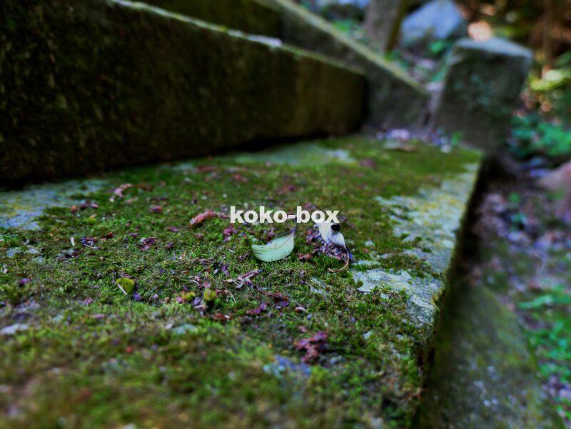 神社の厳かな雰囲気の階段の写真