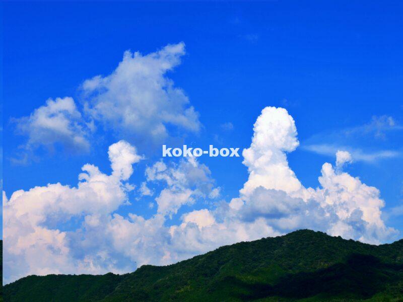 夏の日の青い空と入道雲の写真