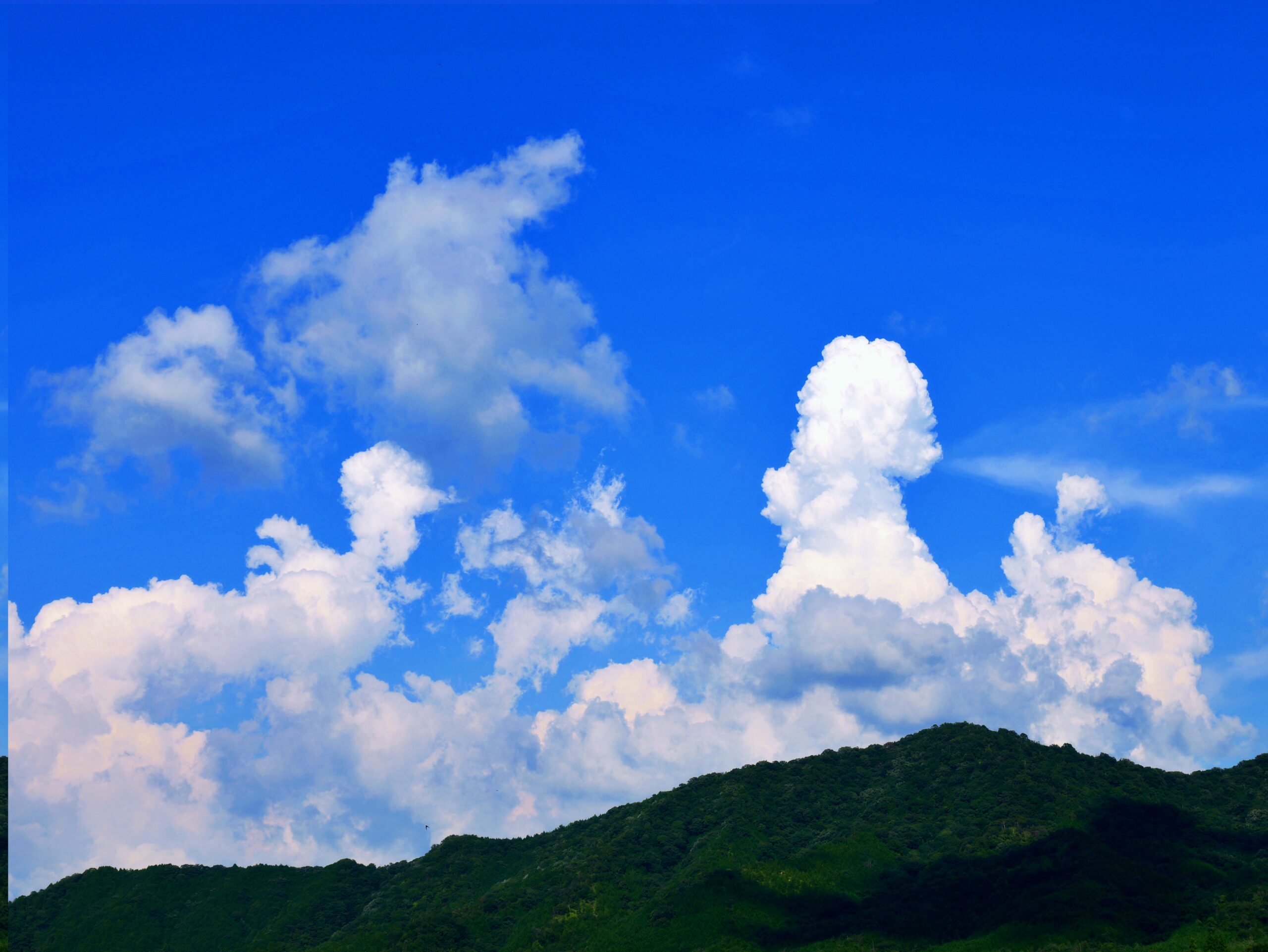 夏の日の青い空と入道雲の写真