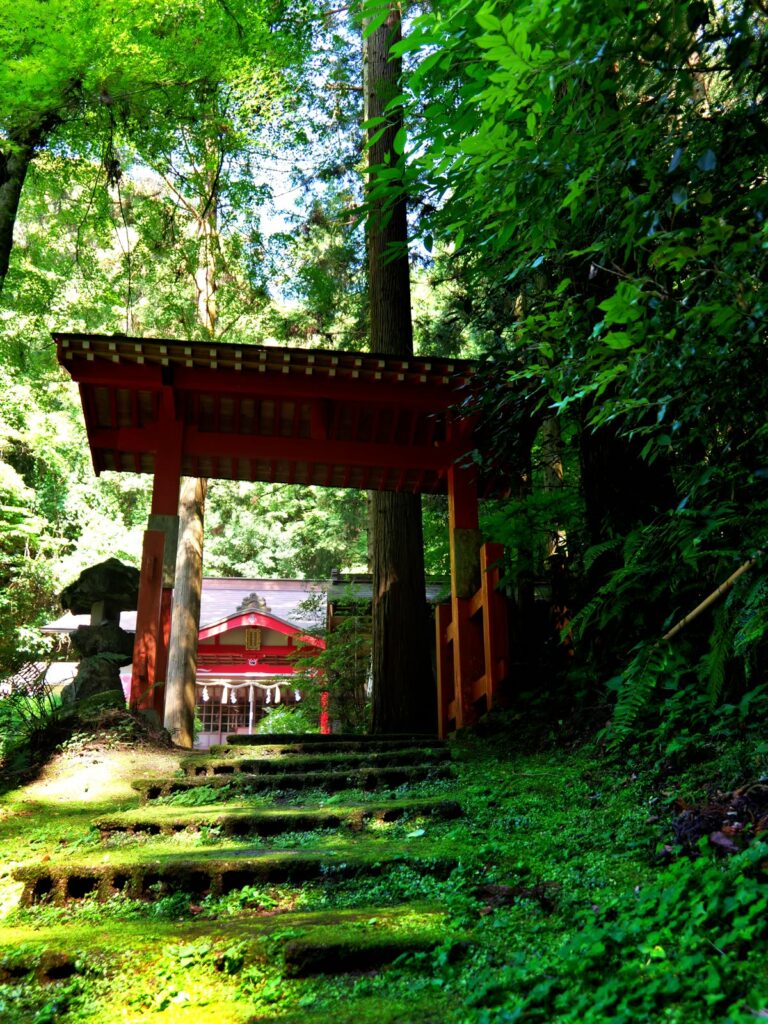 苔むした石段と鳥居のある新緑の神社 縦位置写真素材
