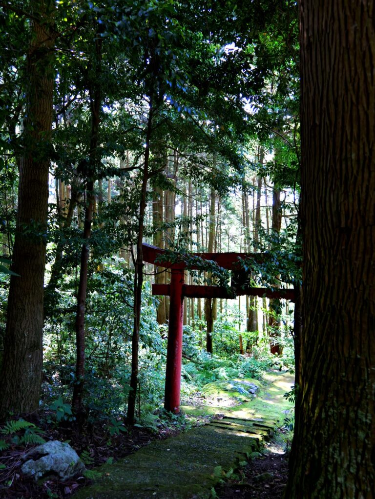 森に佇む赤い鳥居 神秘的 縦位置 写真素材