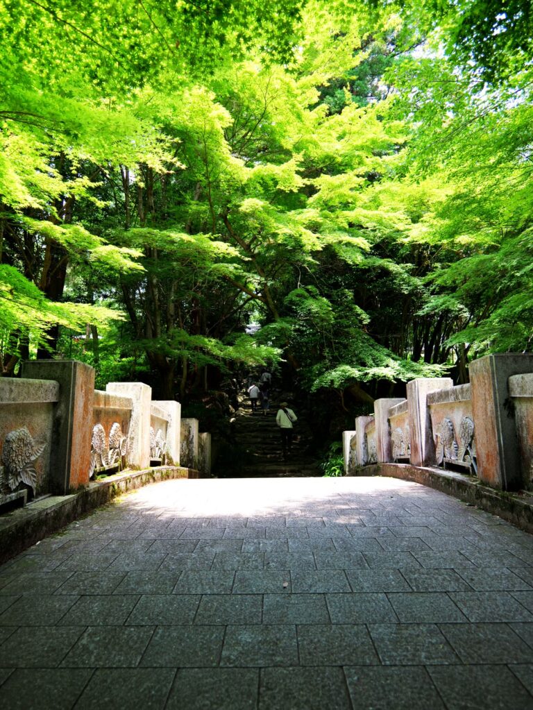 新緑の寺院石橋と木漏れ日 縦位置写真素材
