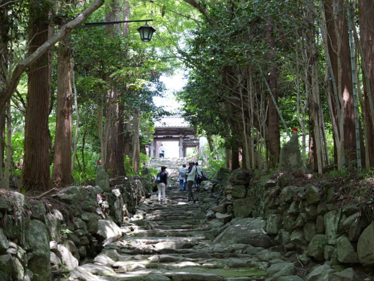 古刹へ続く苔むした石段 横位置写真素材