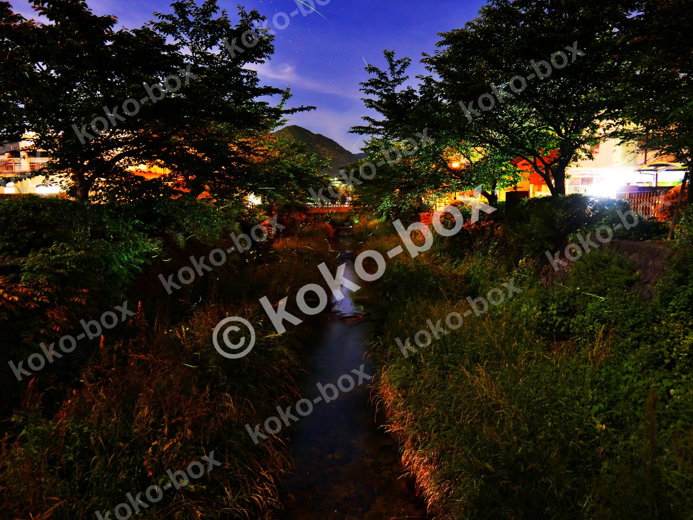 幻想的な夜の小川と蛍 横位置 写真素材