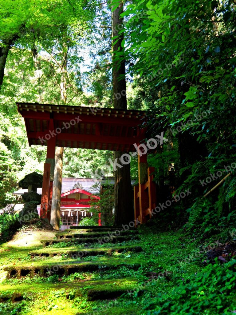 苔むした石段と鳥居のある新緑の神社 縦位置写真素材