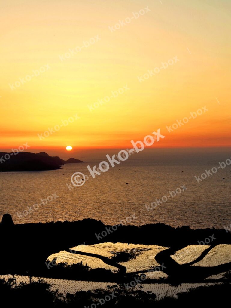 海沿いの棚田と沈む夕日 縦位置写真素材