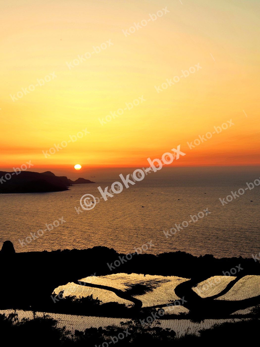 海沿いの棚田と沈む夕日 縦位置写真素材