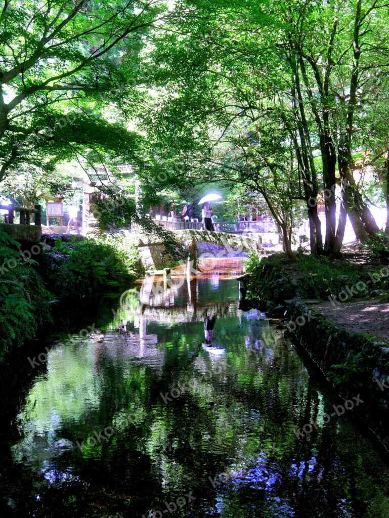 新緑の貴船川と石橋を渡る人物の縦位置写真素材