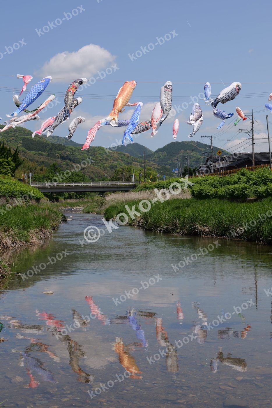川の水面に映るこいのぼりの幻想的な写真素材