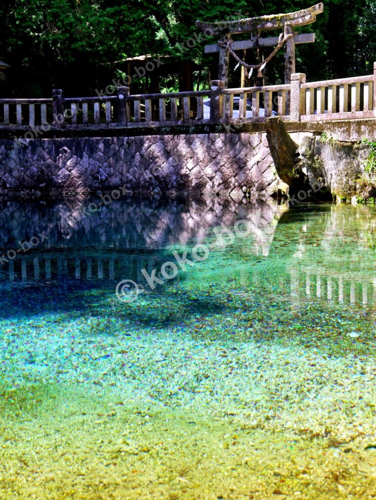 透明度の高い神秘的な湧水池と石鳥居の縦位置写真