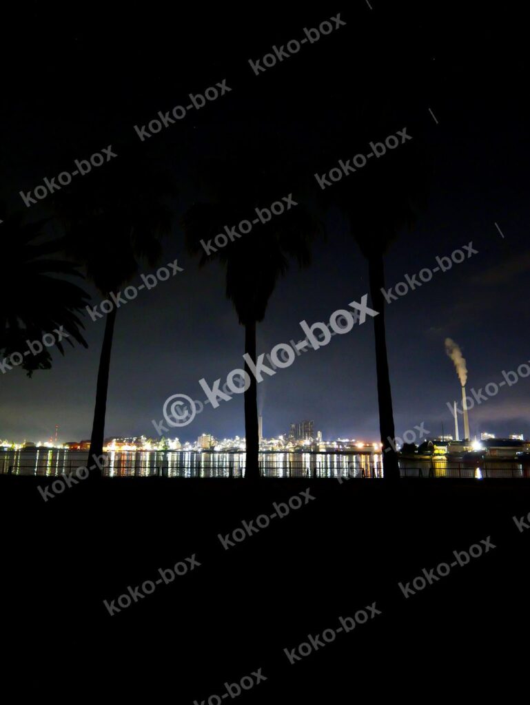 夜の湾岸工業地帯とヤシの木 縦位置写真素材