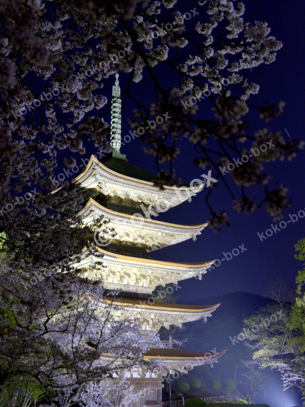 夜桜に浮かぶ五重塔と月 縦位置写真素材
