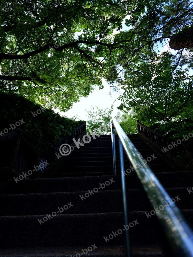 新緑の木漏れ日と続く階段 縦位置写真素材
