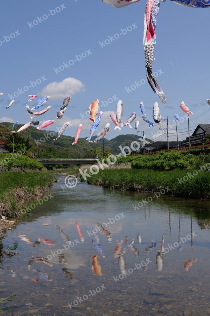 川の水面に映るこいのぼりの美しい写真素材