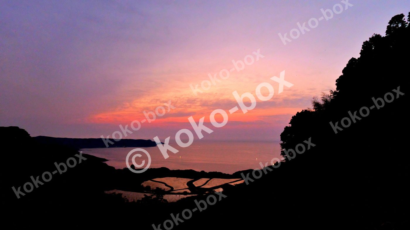 夕焼け空が反射する棚田の美しい風景写真素材