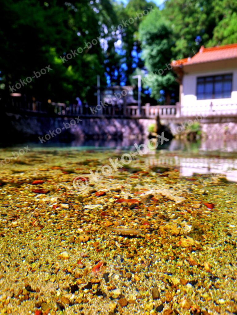 透明な湧水の池と底の小石、奥に神社がある縦位置写真