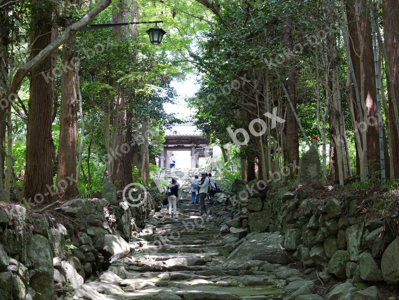 古刹へ続く苔むした石段 横位置写真素材