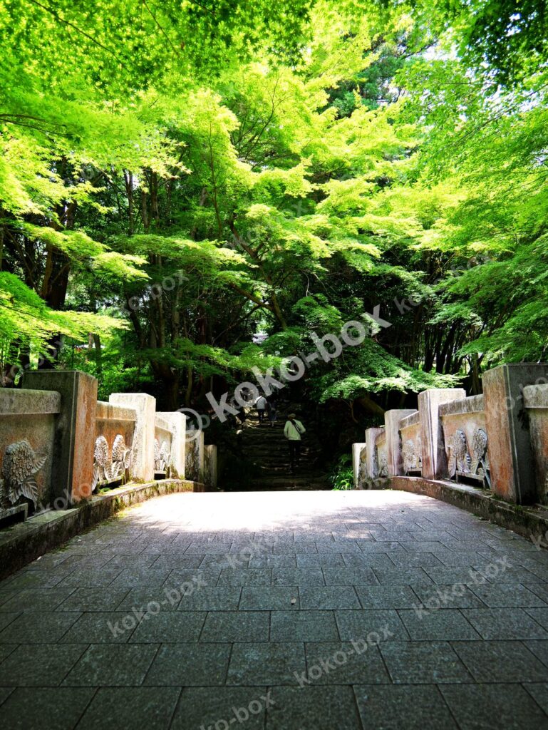 新緑の寺院石橋と木漏れ日 縦位置写真素材