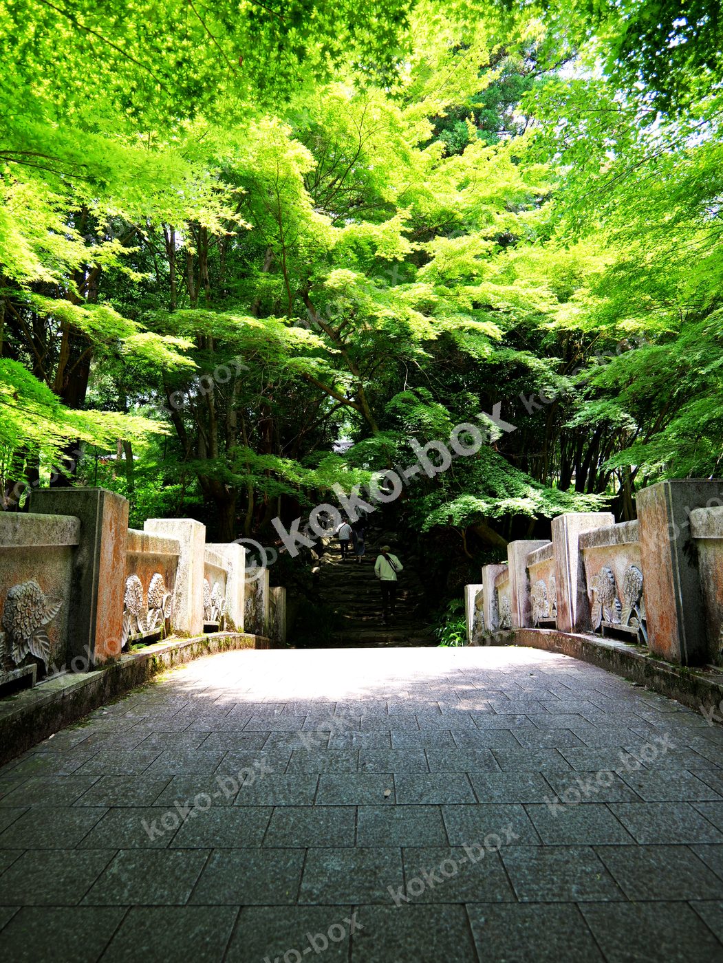 新緑の寺院石橋と木漏れ日 縦位置写真素材