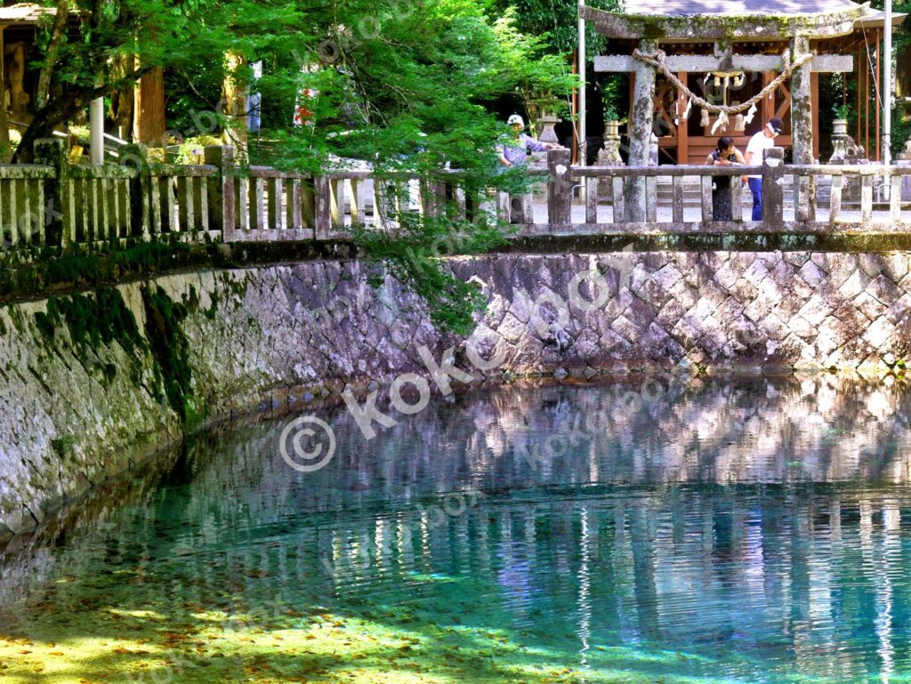 神秘的な蒼の湧水池と神社の風景、水面の反射、横位置写真