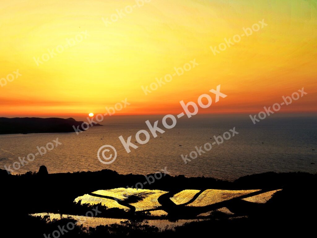 夕日と海を望む棚田の絶景 横位置 写真素材