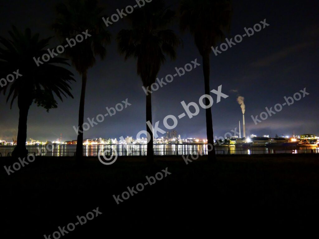夜の工業地帯とヤシの木 シルエット 横位置 写真素材