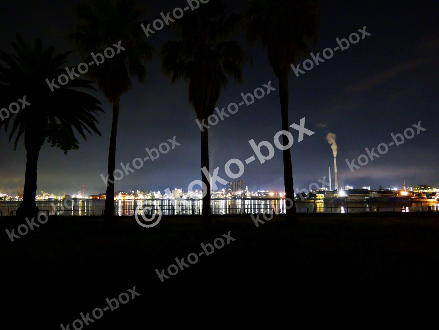 夜の工業地帯とヤシの木 シルエット 横位置 写真素材
