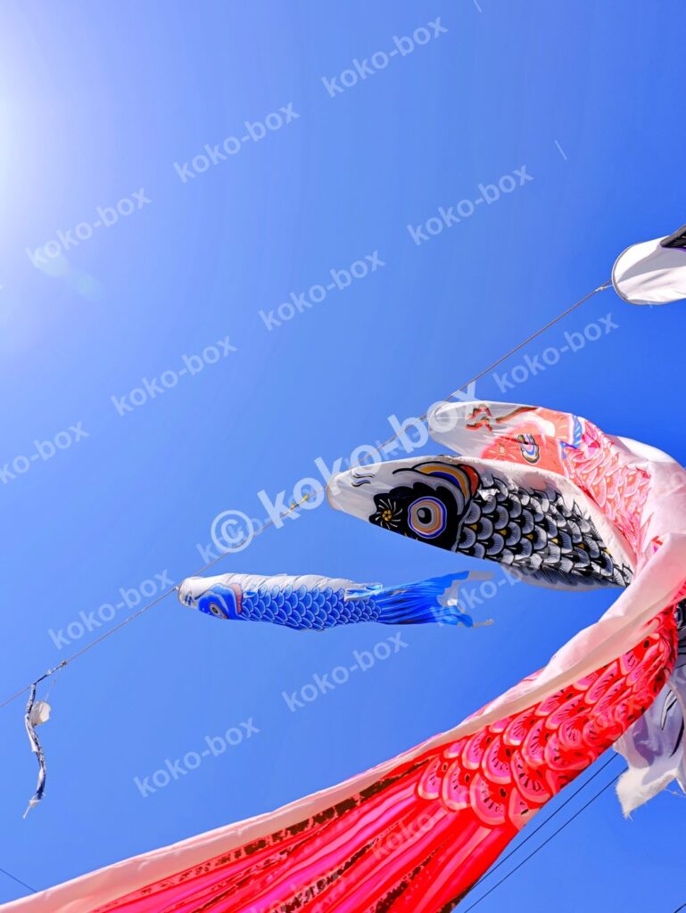 晴天に舞う鮮やかな鯉のぼり 縦位置写真素材