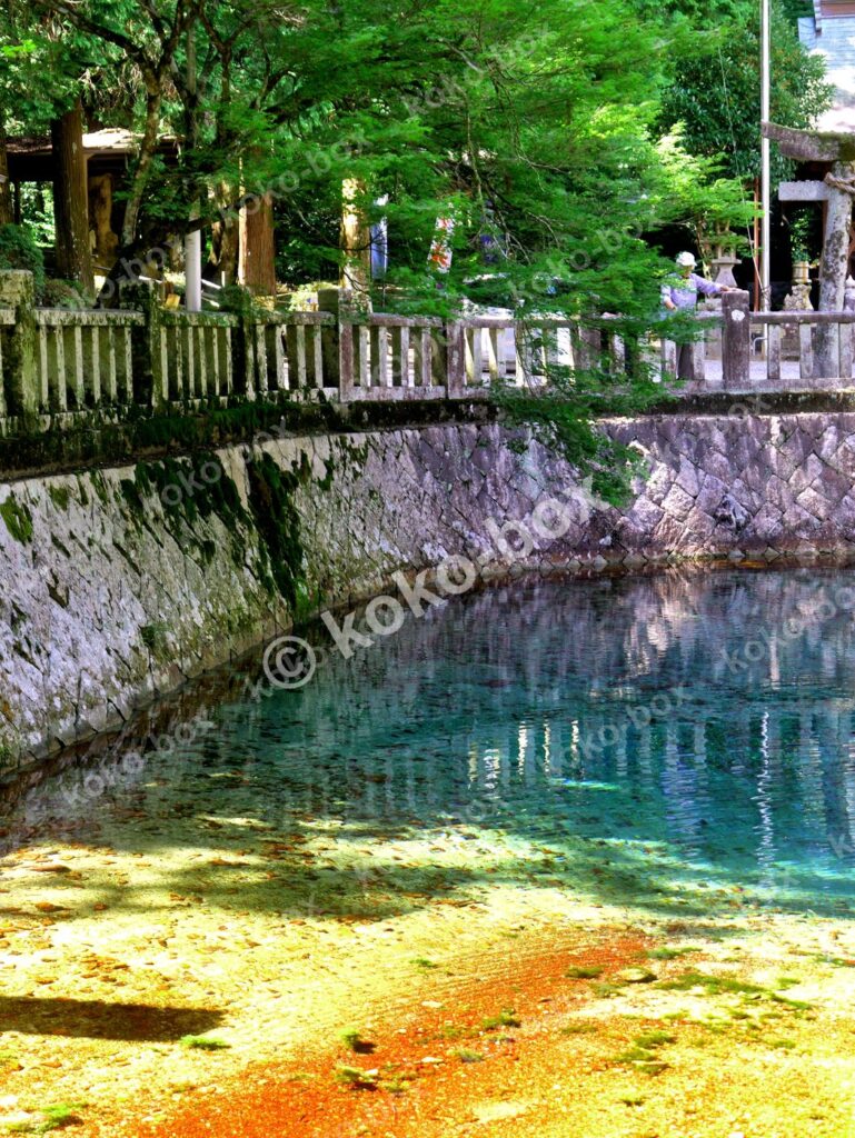 幻想的なコバルトブルーの湧水池の縦位置写真素材