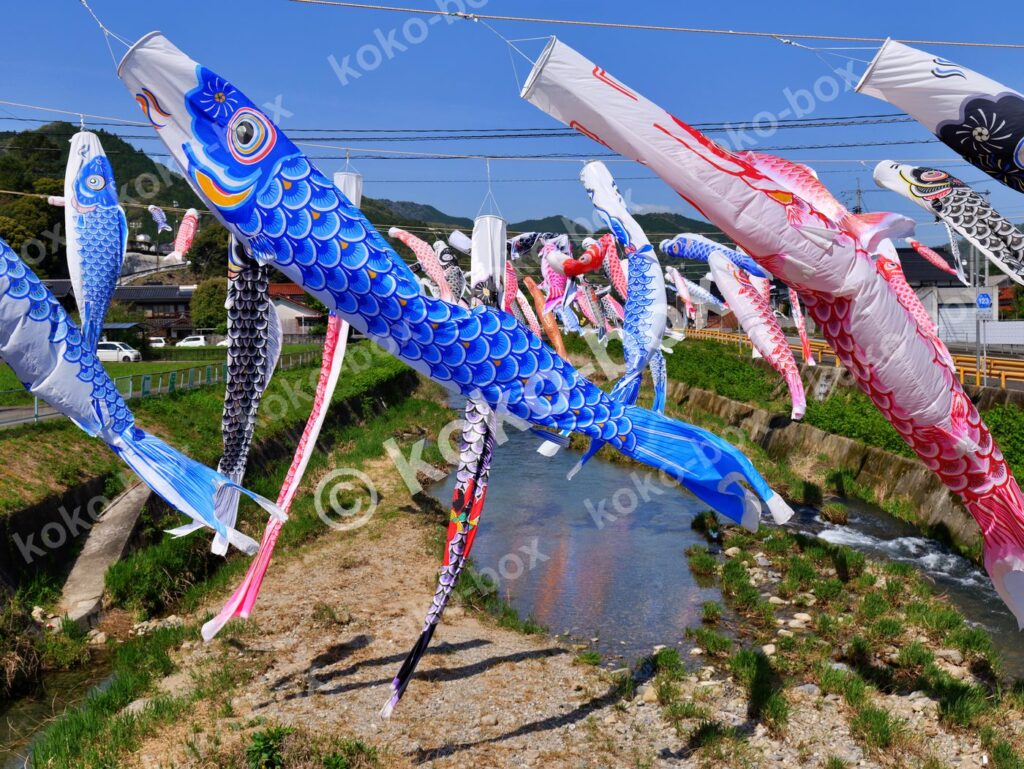 青空に泳ぐ端午の節句の鯉のぼり 横位置 写真素材