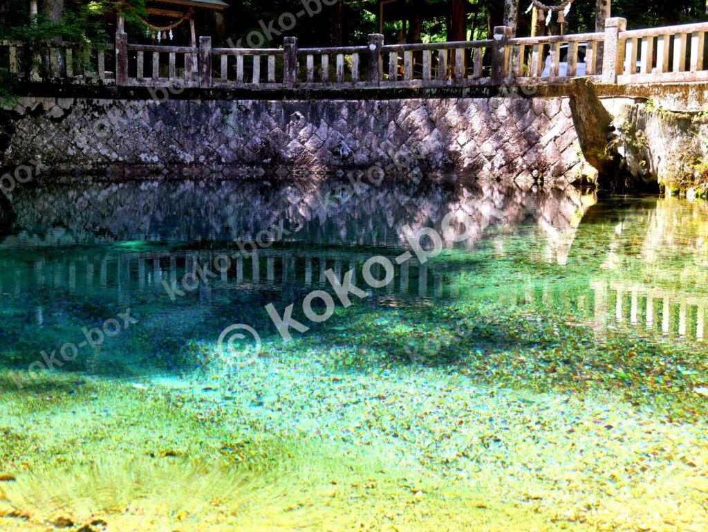 コバルトブルーに輝く透明な湧水池の風景 横位置