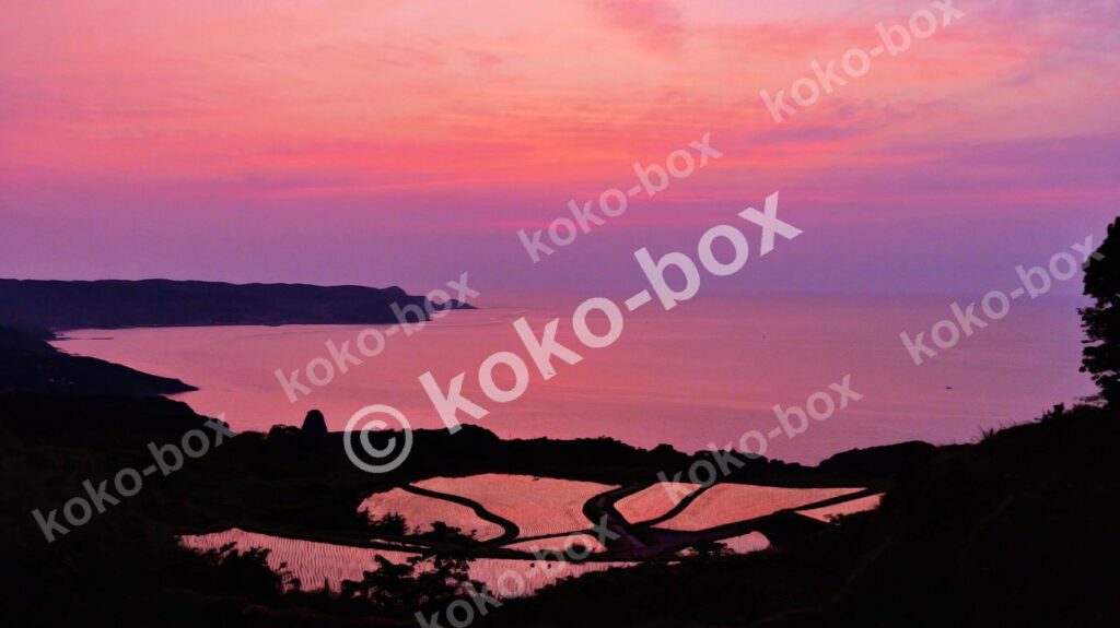 夕焼け空が反射する棚田の幻想的な風景 横位置 写真素材