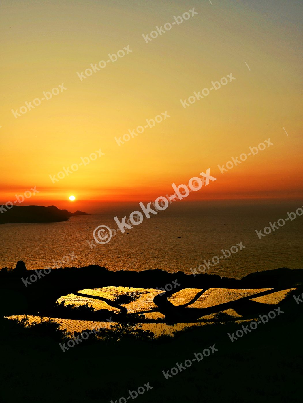海に沈む夕日と棚田の絶景 縦位置写真素材